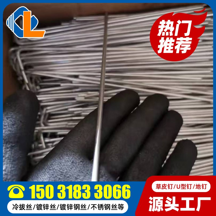 草皮釘規(guī)格型號(hào) 草坪固定釘 地釘型號(hào) U型釘定制