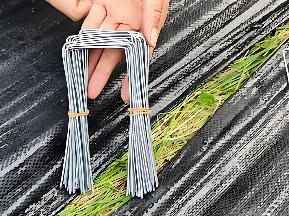 防草布專用U型釘 防草布專用U型釘